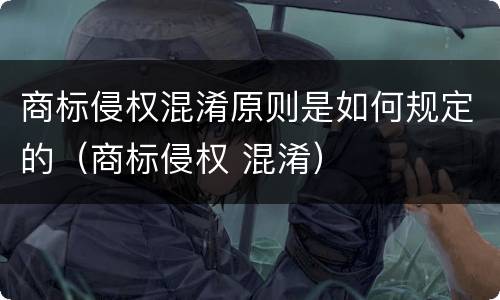 商标侵权混淆原则是如何规定的（商标侵权 混淆）