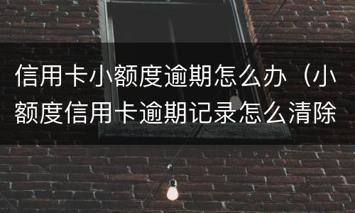 信用卡小额度逾期怎么办（小额度信用卡逾期记录怎么清除）