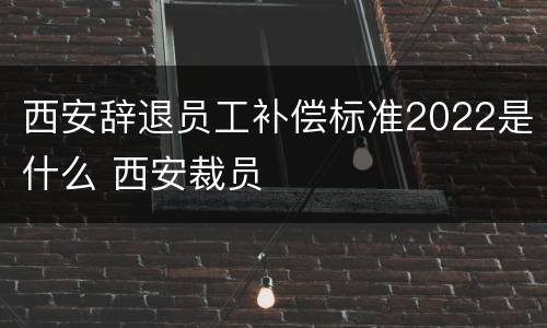 西安辞退员工补偿标准2022是什么 西安裁员