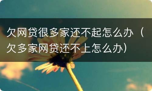 欠网贷很多家还不起怎么办（欠多家网贷还不上怎么办）