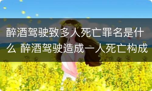 醉酒驾驶致多人死亡罪名是什么 醉酒驾驶造成一人死亡构成什么罪