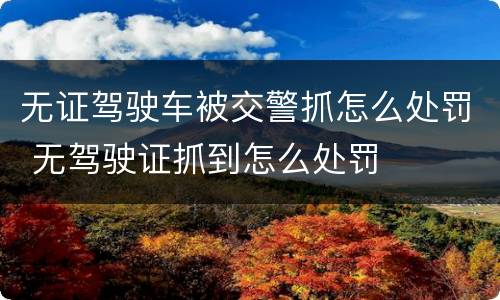 无证驾驶车被交警抓怎么处罚 无驾驶证抓到怎么处罚