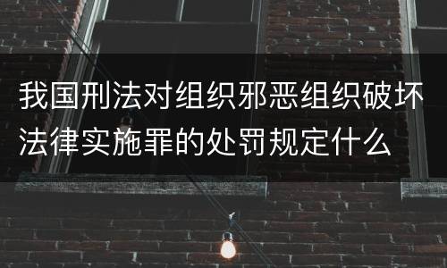 我国刑法对组织邪恶组织破坏法律实施罪的处罚规定什么