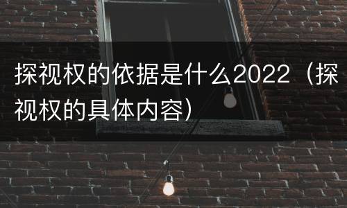 探视权的依据是什么2022（探视权的具体内容）