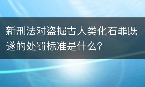 新刑法对盗掘古人类化石罪既遂的处罚标准是什么？