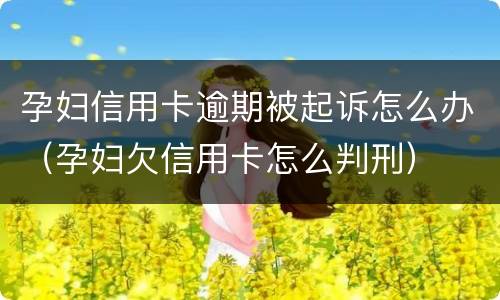 孕妇信用卡逾期被起诉怎么办（孕妇欠信用卡怎么判刑）