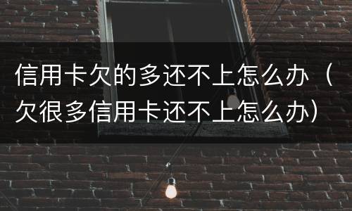 信用卡欠的多还不上怎么办（欠很多信用卡还不上怎么办）