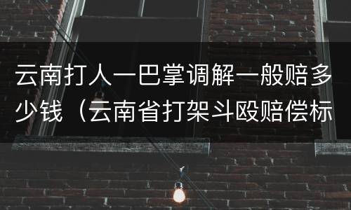 云南打人一巴掌调解一般赔多少钱（云南省打架斗殴赔偿标准）