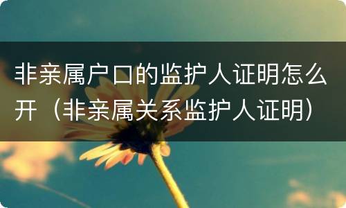 非亲属户口的监护人证明怎么开（非亲属关系监护人证明）