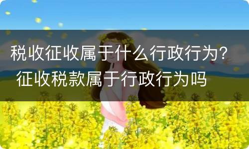 税收征收属于什么行政行为？ 征收税款属于行政行为吗