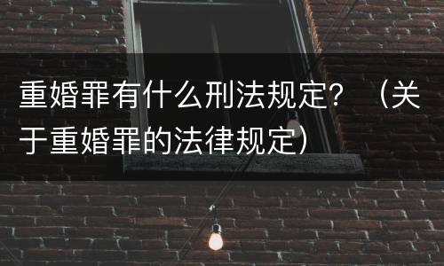 重婚罪有什么刑法规定？（关于重婚罪的法律规定）