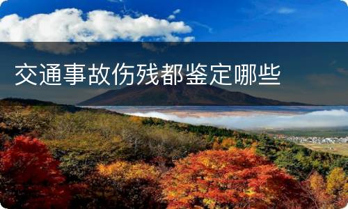 交通事故伤残都鉴定哪些