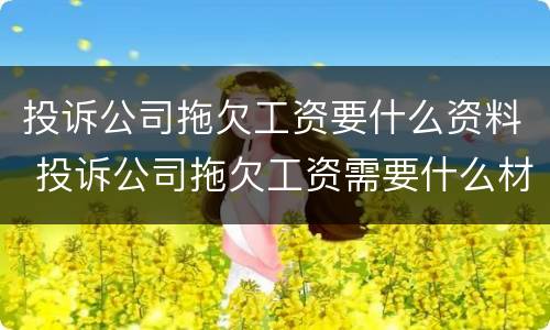 投诉公司拖欠工资要什么资料 投诉公司拖欠工资需要什么材料