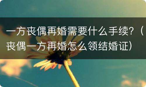 一方丧偶再婚需要什么手续?（丧偶一方再婚怎么领结婚证）