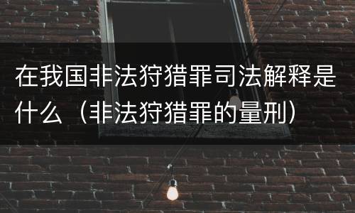 在我国非法狩猎罪司法解释是什么（非法狩猎罪的量刑）
