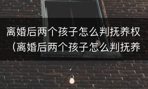 离婚后两个孩子怎么判抚养权（离婚后两个孩子怎么判抚养权归谁）