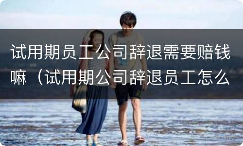 试用期员工公司辞退需要赔钱嘛（试用期公司辞退员工怎么赔偿金）