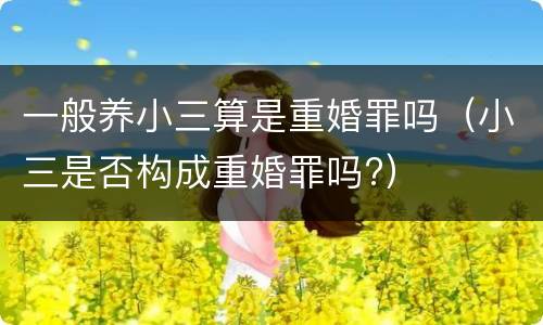一般养小三算是重婚罪吗（小三是否构成重婚罪吗?）