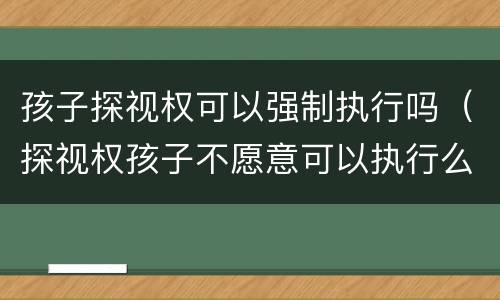 孩子探视权可以强制执行吗（探视权孩子不愿意可以执行么）