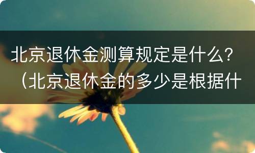 北京退休金测算规定是什么？（北京退休金的多少是根据什么来定多少）