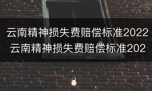 云南精神损失费赔偿标准2022 云南精神损失费赔偿标准2022年