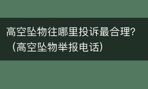 高空坠物往哪里投诉最合理？（高空坠物举报电话）