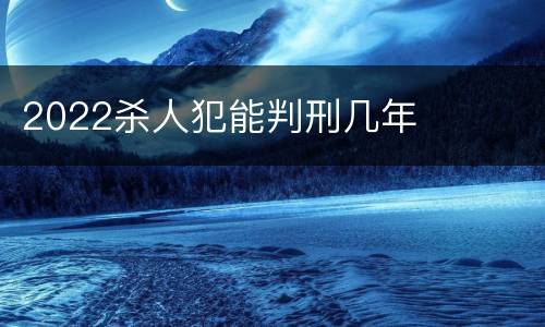 2022杀人犯能判刑几年