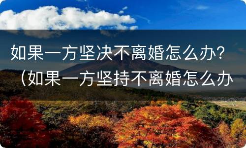 如果一方坚决不离婚怎么办？（如果一方坚持不离婚怎么办）