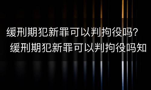 缓刑期犯新罪可以判拘役吗？ 缓刑期犯新罪可以判拘役吗知乎