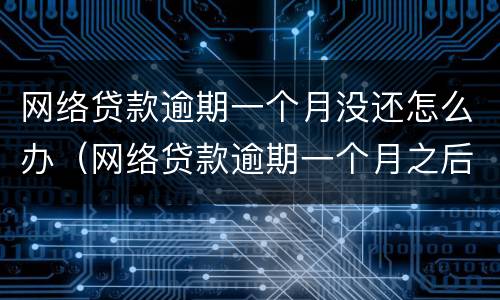 网络贷款逾期一个月没还怎么办（网络贷款逾期一个月之后还会怎么样）