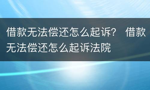 借款无法偿还怎么起诉？ 借款无法偿还怎么起诉法院