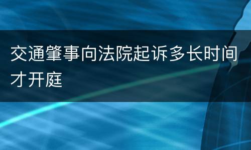 交通肇事向法院起诉多长时间才开庭