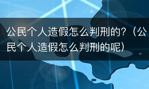 公民个人造假怎么判刑的?（公民个人造假怎么判刑的呢）
