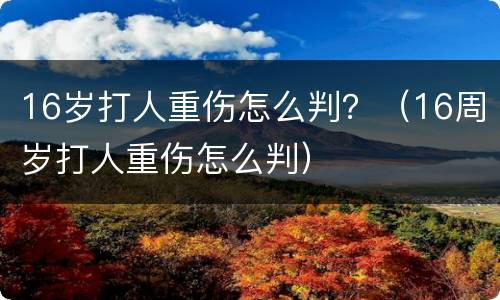 16岁打人重伤怎么判？（16周岁打人重伤怎么判）