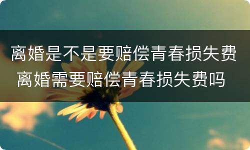 离婚是不是要赔偿青春损失费 离婚需要赔偿青春损失费吗