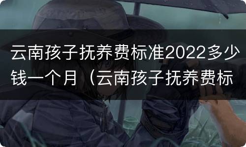 云南孩子抚养费标准2022多少钱一个月（云南孩子抚养费标准2019）