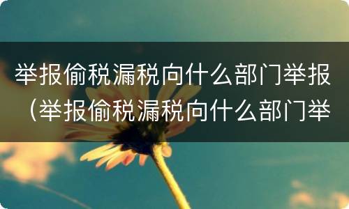 举报偷税漏税向什么部门举报（举报偷税漏税向什么部门举报呢）