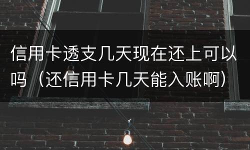 信用卡透支几天现在还上可以吗（还信用卡几天能入账啊）
