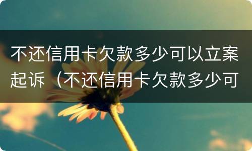 不还信用卡欠款多少可以立案起诉（不还信用卡欠款多少可以立案起诉对方）