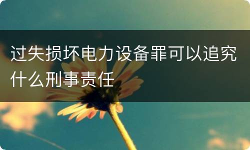 过失损坏电力设备罪可以追究什么刑事责任