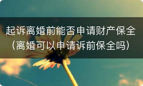 起诉离婚前能否申请财产保全（离婚可以申请诉前保全吗）