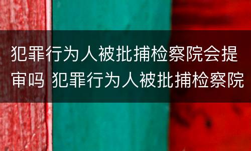 犯罪行为人被批捕检察院会提审吗 犯罪行为人被批捕检察院会提审吗怎么办