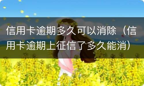 信用卡逾期多久可以消除（信用卡逾期上征信了多久能消）