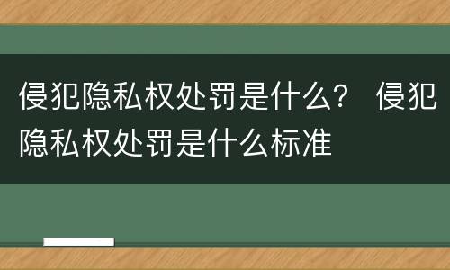 侵犯隐私权处罚是什么？ 侵犯隐私权处罚是什么标准