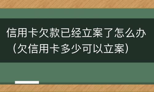 信用卡欠款已经立案了怎么办（欠信用卡多少可以立案）