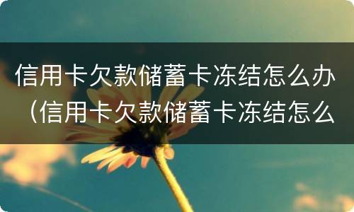 信用卡欠款储蓄卡冻结怎么办（信用卡欠款储蓄卡冻结怎么办呢）