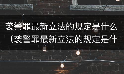 袭警罪最新立法的规定是什么（袭警罪最新立法的规定是什么呢）