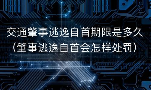 交通肇事逃逸自首期限是多久（肇事逃逸自首会怎样处罚）