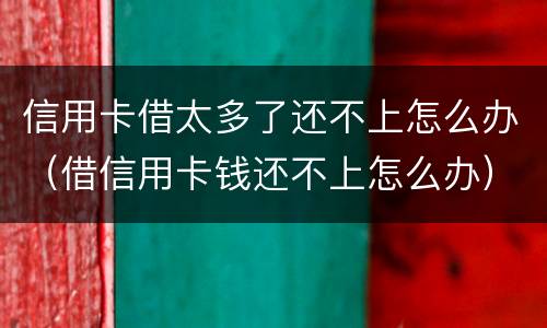 信用卡借太多了还不上怎么办（借信用卡钱还不上怎么办）