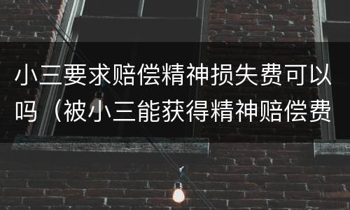 小三要求赔偿精神损失费可以吗（被小三能获得精神赔偿费吗）